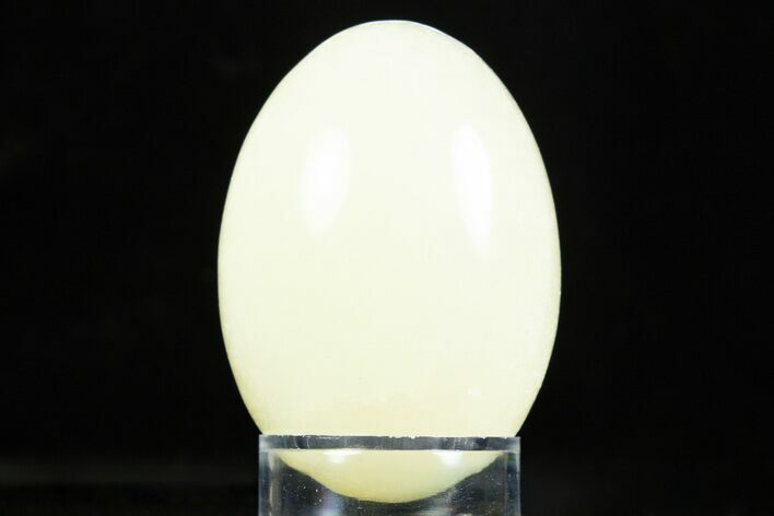 Polished Green Onyx Stone Egg - California #308868